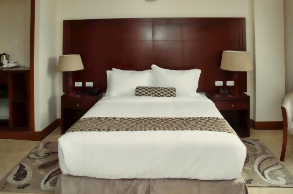 Addissinia Hotel image 10